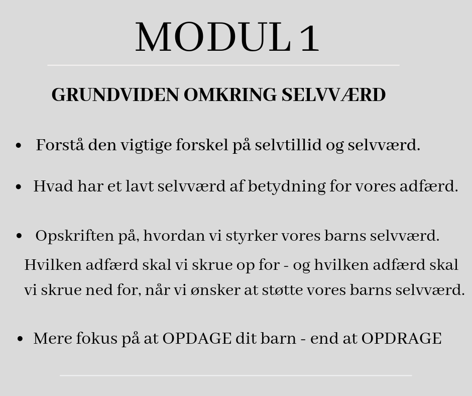 MODUL 1 (12)