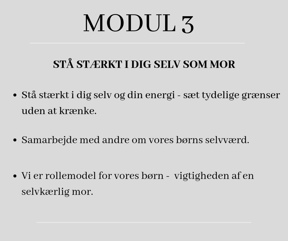 MODUL 1 (17)